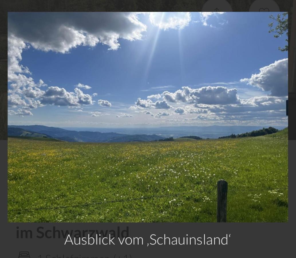 Toscana-Residenz Im Schwarzwald Utzenfeld Eksteriør billede
